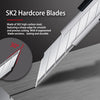 SINSEUNG S301 Cutter Blade 9mm, alloyed tool steel 63HRC (10PCS)