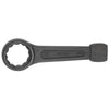Cờ lê đóng đầu tròng thẳng HOLEX 619161 41 - 41 mm