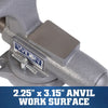 Eto đa năng Wilton 5-in Apprentice Bench Vise (WVA5)