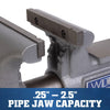 Eto đa năng Wilton 5-in Apprentice Bench Vise (WVA5)