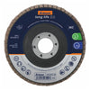 Dĩa mài mòn Garant ZA40 Zirconium 115mm ( cốt 22,23mm)